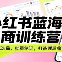 小红书蓝海电商训练营：AI虚拟选品，批量笔记，打造睡后收入系统