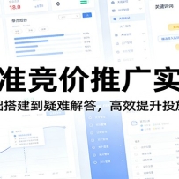 精准竞价推广实操：从基础搭建到疑难解答，高效提升投放效果