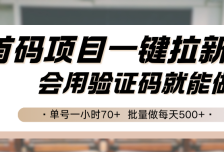 首码项目一键拉新，会用验证码就能做 单号一小时70+，批量做每天500+