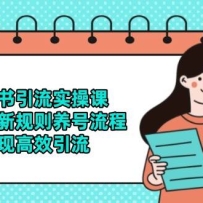 小红书引流实操课，掌握最新规则养号流程，实现高效引流