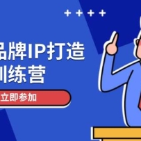 个人品牌IP打造训练营，打造人设吸粉话术，日增精准粉，玩转社群变现技巧