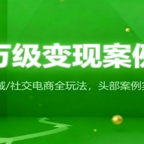 千万级变现案例库：直播/私域/社交电商全玩法，200+头部案例实战复盘