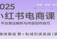 2025小红书电商课：解析算法，创作高转化内容，助力卖家获取流量实现变现（