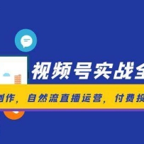 视频号实战全攻略，爆款脚本创作，自然流直播运营，付费投放技巧