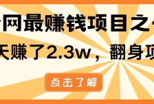 全网首发，暴利项目，每天被动收益1500+，长期管道收益！0成本自己做老板！