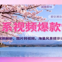 治愈系视频爆款制作，700万播放量案例解析，图片转视频，海量风景提示词，