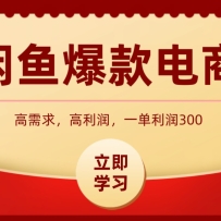 闲鱼卖高利润产品，上架即可出单，每天利润1000＋