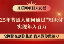 镰刀训练营超级IP合伙人，25年普通人如何通过“知识付费”年入百万！