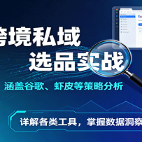 跨境私域选品实战：涵盖谷歌、虾皮等策略分析，详解各类工具，掌握数据洞察