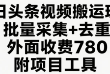 今日头条视频搬运玩法，软件一键去重，轻松日入500+附项目工具
