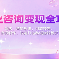 商业咨询变现全攻略：销售、营销思维，引流锁客，海报制作，快速打造私域赚