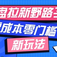 网盘拉新野路子玩法，零成本零门槛多种变现方式，轻松月入万元【保姆级教程