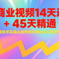AI商业视频14天速成+45天精通实用技术实操，从制作技巧到AIGC视效专家