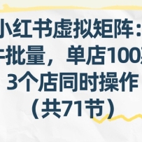 小红书虚拟矩阵：软件批量发笔记，单店100款，3个店同时操作（共71节）