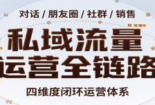 私域流量运营全链路，开场对话设计、朋友圈运营、社群管理、一对一销售SOP
