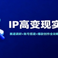 IP高变现实战课：赛道调研+账号搭建+爆款创作全攻略，解锁高收入布局