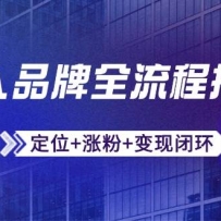 个人品牌全流程拆解：定位+涨粉+变现闭环，微信生态运营与资源整合