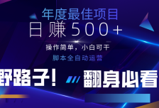 云机全自动答题日赚500+，轻松实现睡后收益，操作简单，2025最新野路子，翻