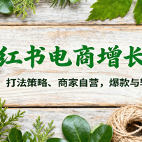 小红书电商增长课：AI创作、打法策略、商家自营，爆款与转化秘籍