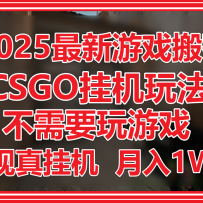 2025最新游戏搬砖，CSGO挂机，不需要玩游戏，实现真挂机，月入1W+
