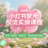 小红书聚光投流实操课程，聚光广告投放、数据分析、做高效低成本获客